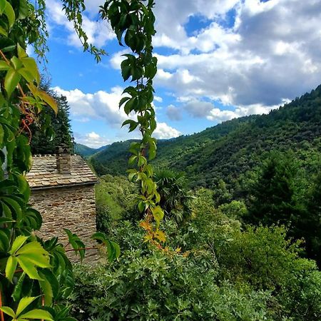 Gite De Combelebouze En Cevennes - Cosy, Confort Et Climatise - 3 Etoiles Saint-Privat-de-Vallongue Ngoại thất bức ảnh
