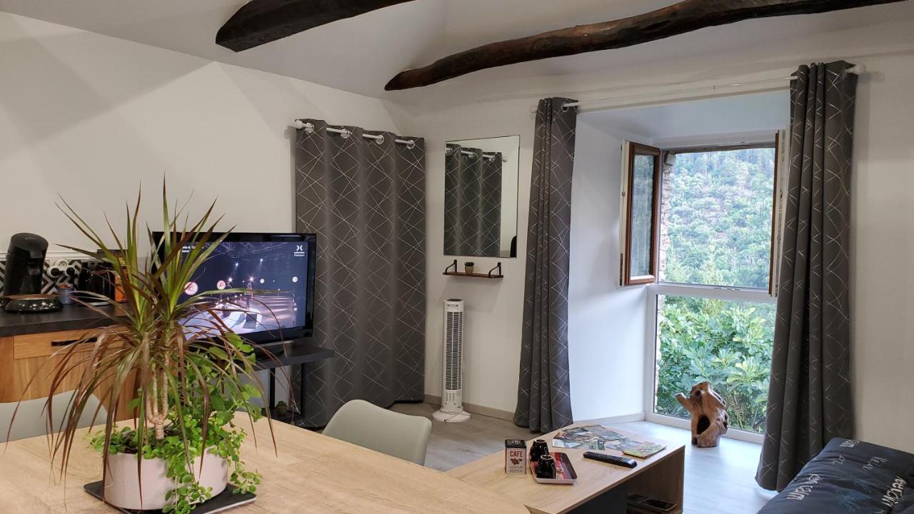 Gite De Combelebouze En Cevennes - Cosy, Confort Et Climatise - 3 Etoiles Saint-Privat-de-Vallongue Ngoại thất bức ảnh