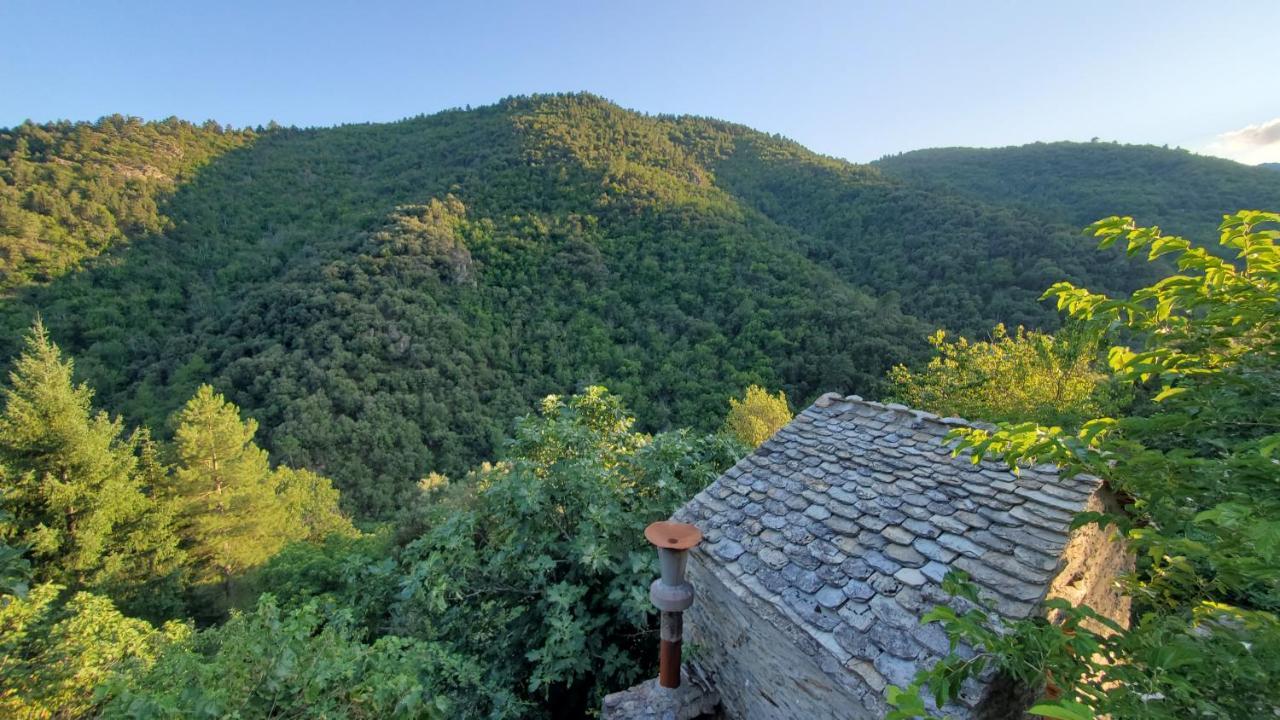 Gite De Combelebouze En Cevennes - Cosy, Confort Et Climatise - 3 Etoiles Saint-Privat-de-Vallongue Ngoại thất bức ảnh