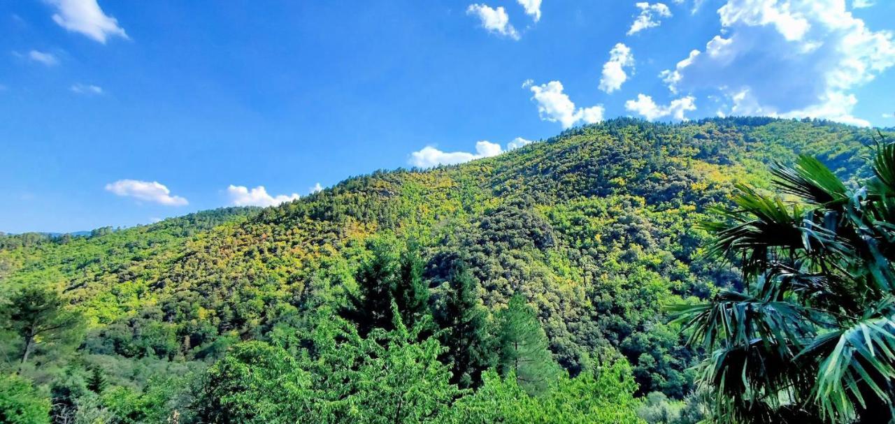 Gite De Combelebouze En Cevennes - Cosy, Confort Et Climatise - 3 Etoiles Saint-Privat-de-Vallongue Ngoại thất bức ảnh