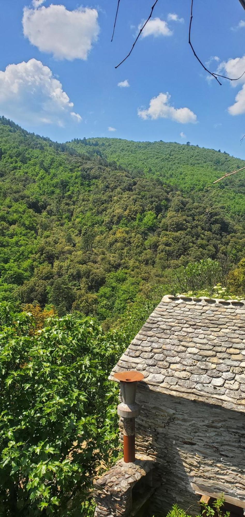 Gite De Combelebouze En Cevennes - Cosy, Confort Et Climatise - 3 Etoiles Saint-Privat-de-Vallongue Ngoại thất bức ảnh