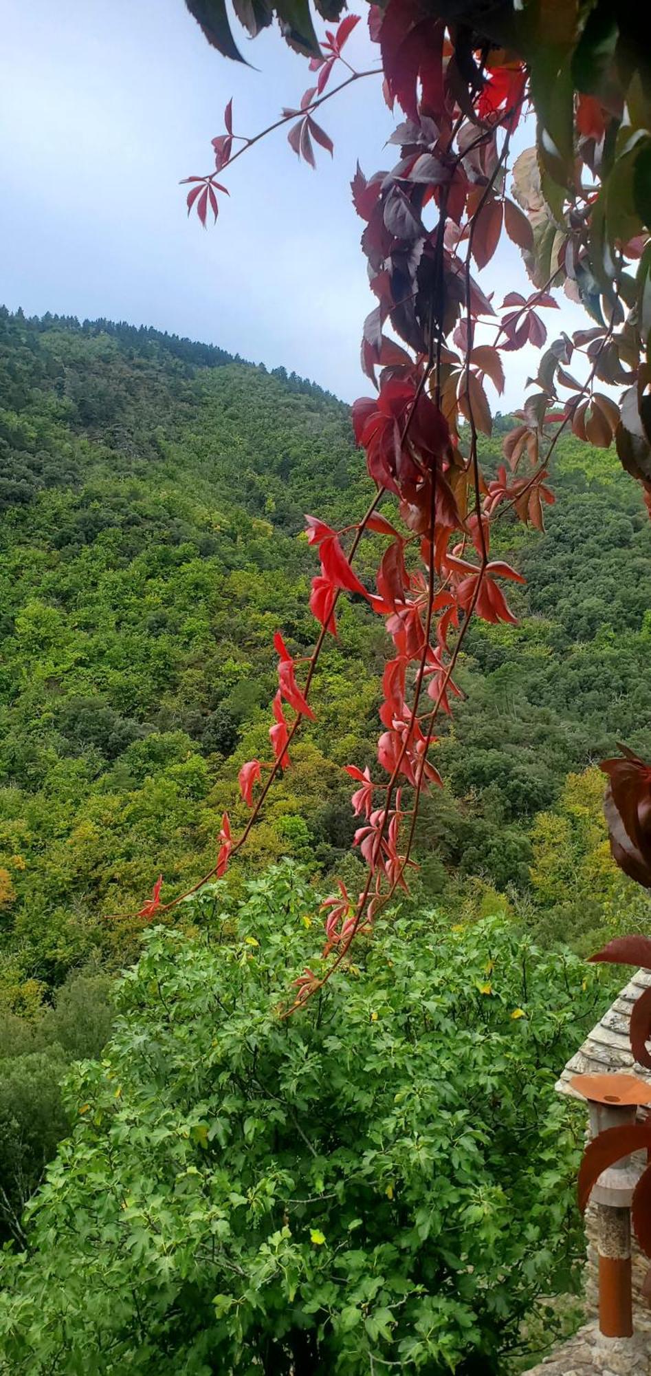 Gite De Combelebouze En Cevennes - Cosy, Confort Et Climatise - 3 Etoiles Saint-Privat-de-Vallongue Ngoại thất bức ảnh