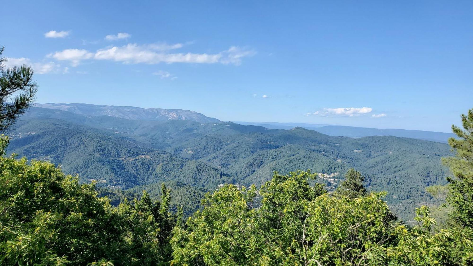 Gite De Combelebouze En Cevennes - Cosy, Confort Et Climatise - 3 Etoiles Saint-Privat-de-Vallongue Ngoại thất bức ảnh