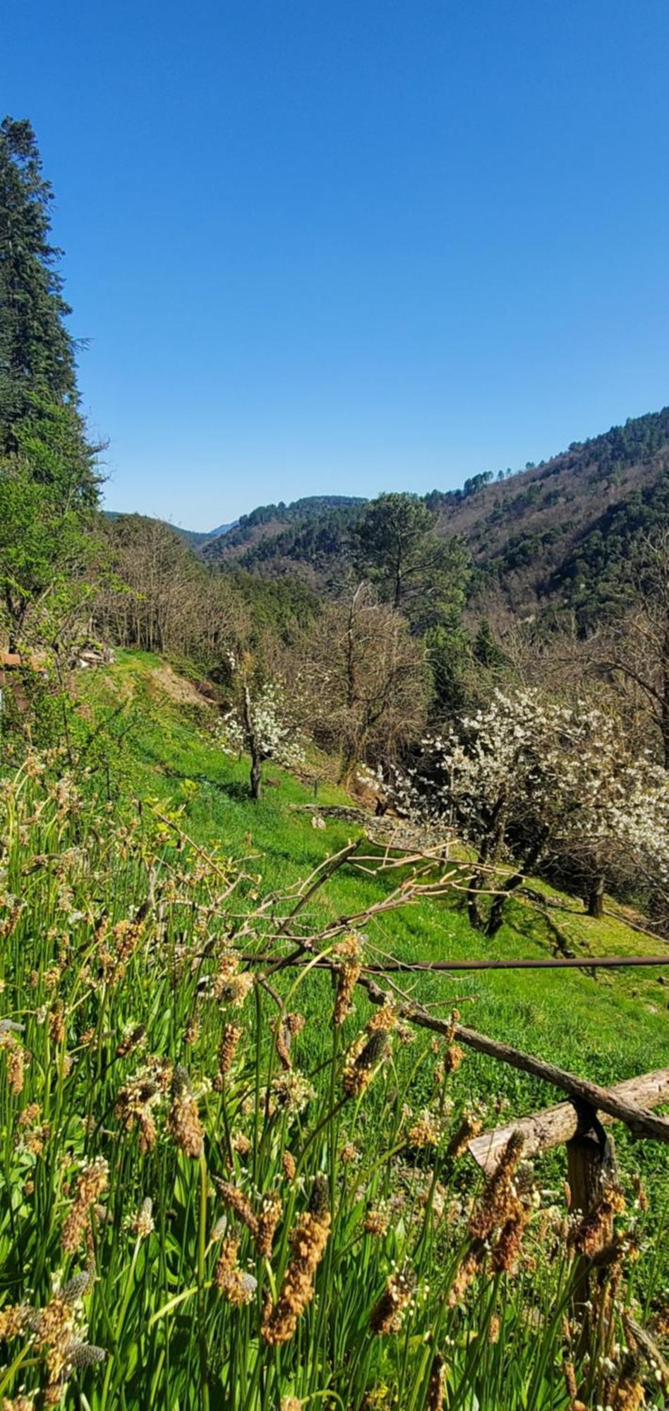 Gite De Combelebouze En Cevennes - Cosy, Confort Et Climatise - 3 Etoiles Saint-Privat-de-Vallongue Ngoại thất bức ảnh