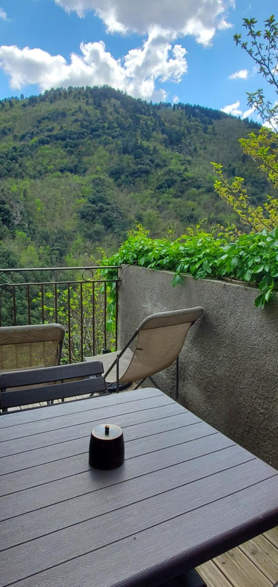 Gite De Combelebouze En Cevennes - Cosy, Confort Et Climatise - 3 Etoiles Saint-Privat-de-Vallongue Ngoại thất bức ảnh